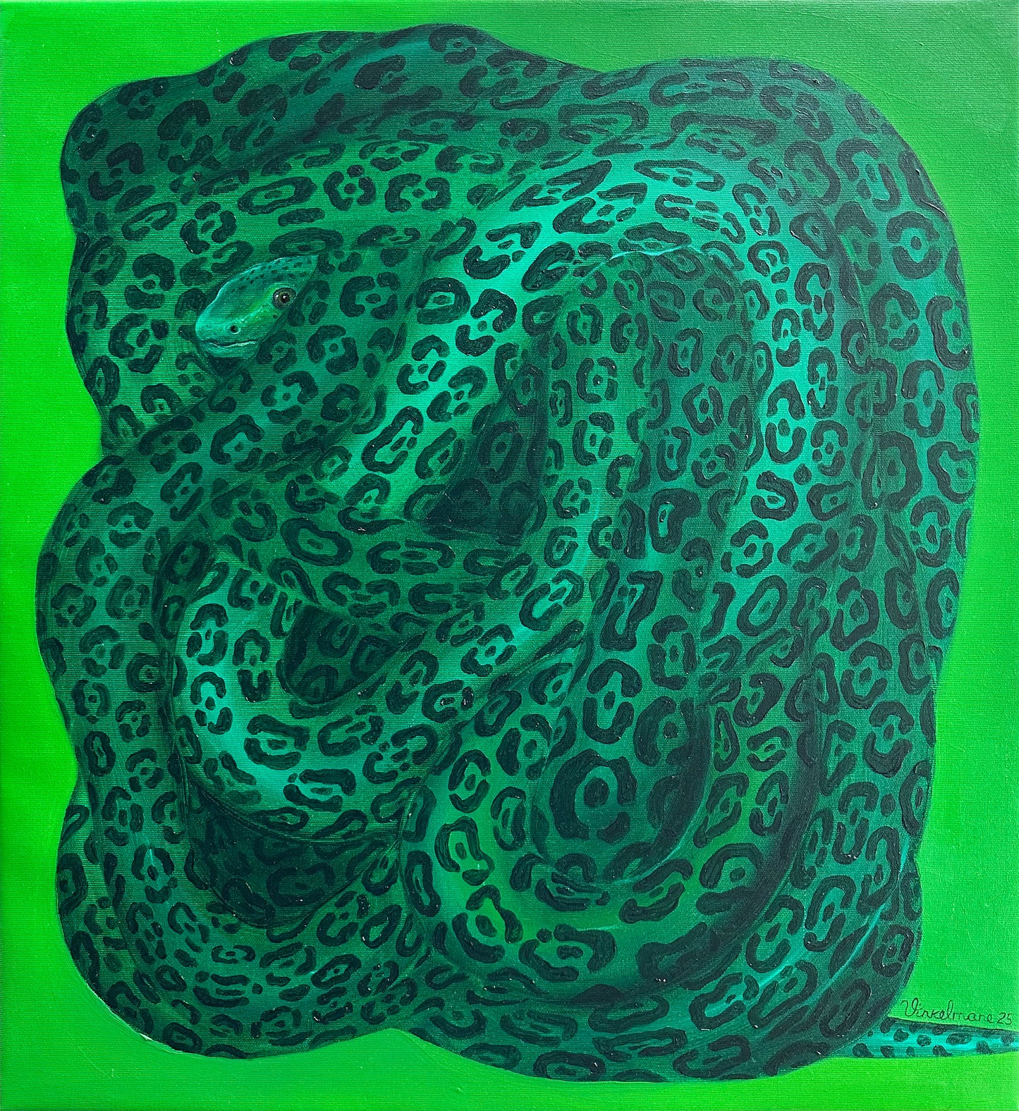 The Maze