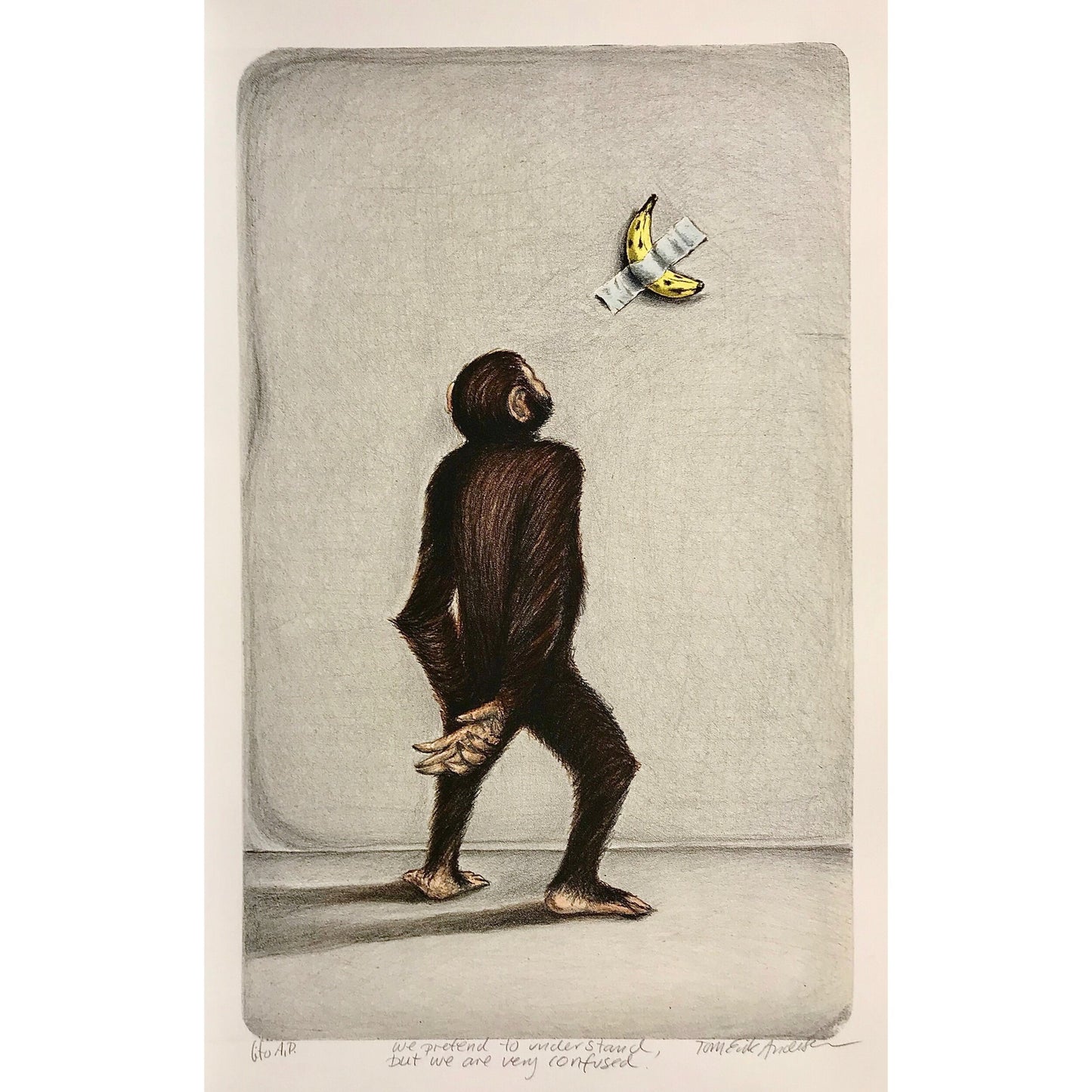 We pretend to understand, but we are very confused