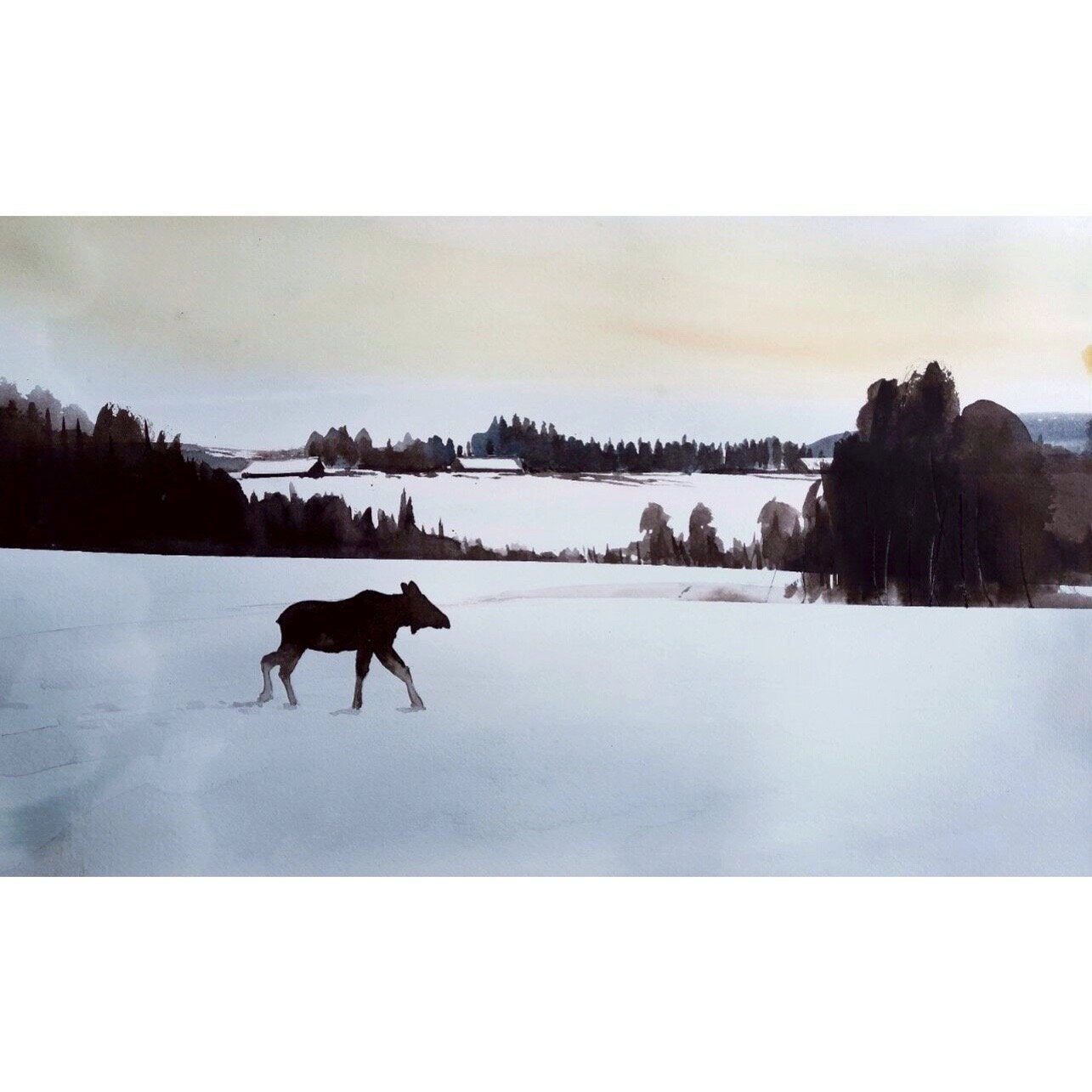 Vandring i åpent landskap!
