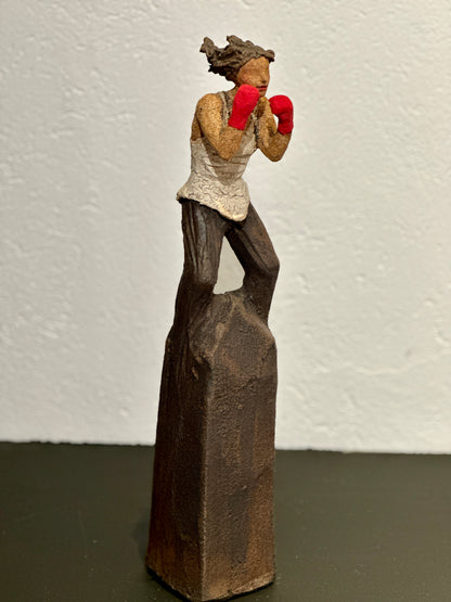 Jeg gir meg aldri, bokser