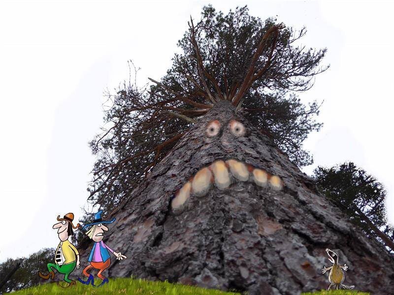 Skogstur